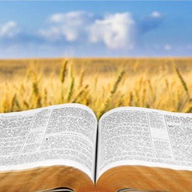 Faith Formation