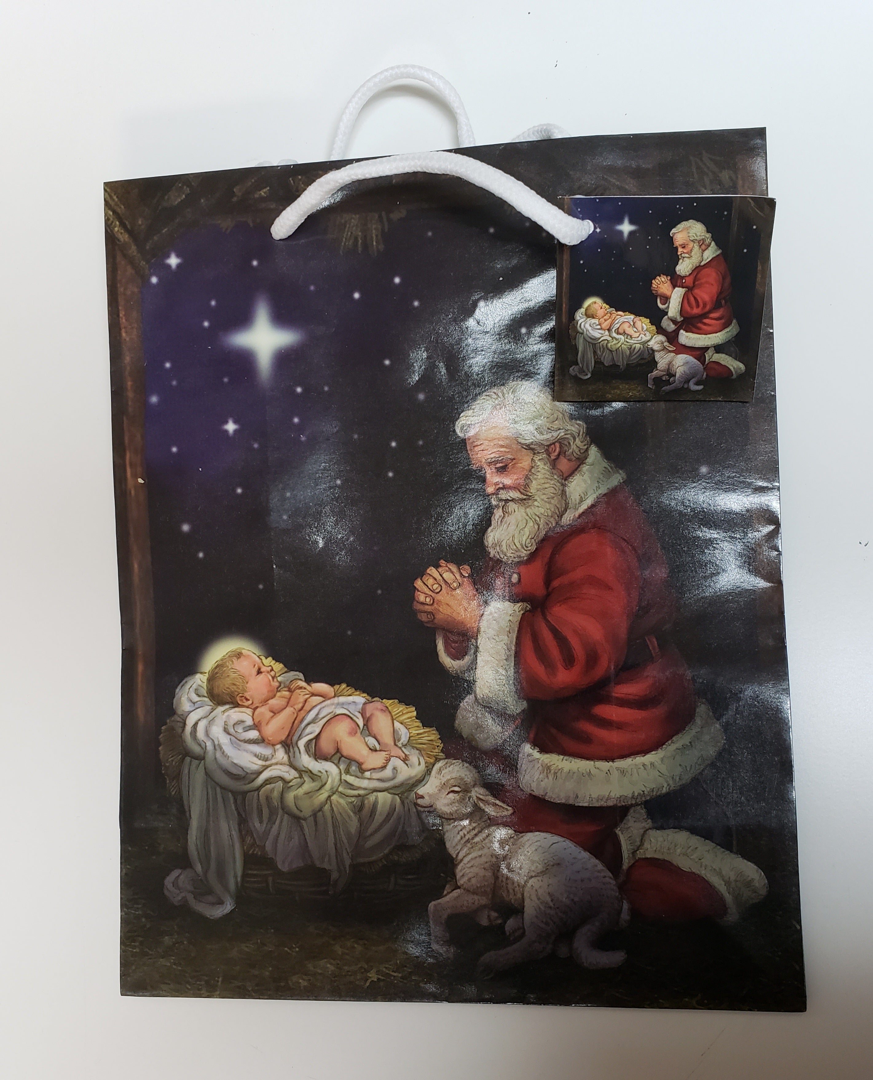 Adoring Santa Gift Bag