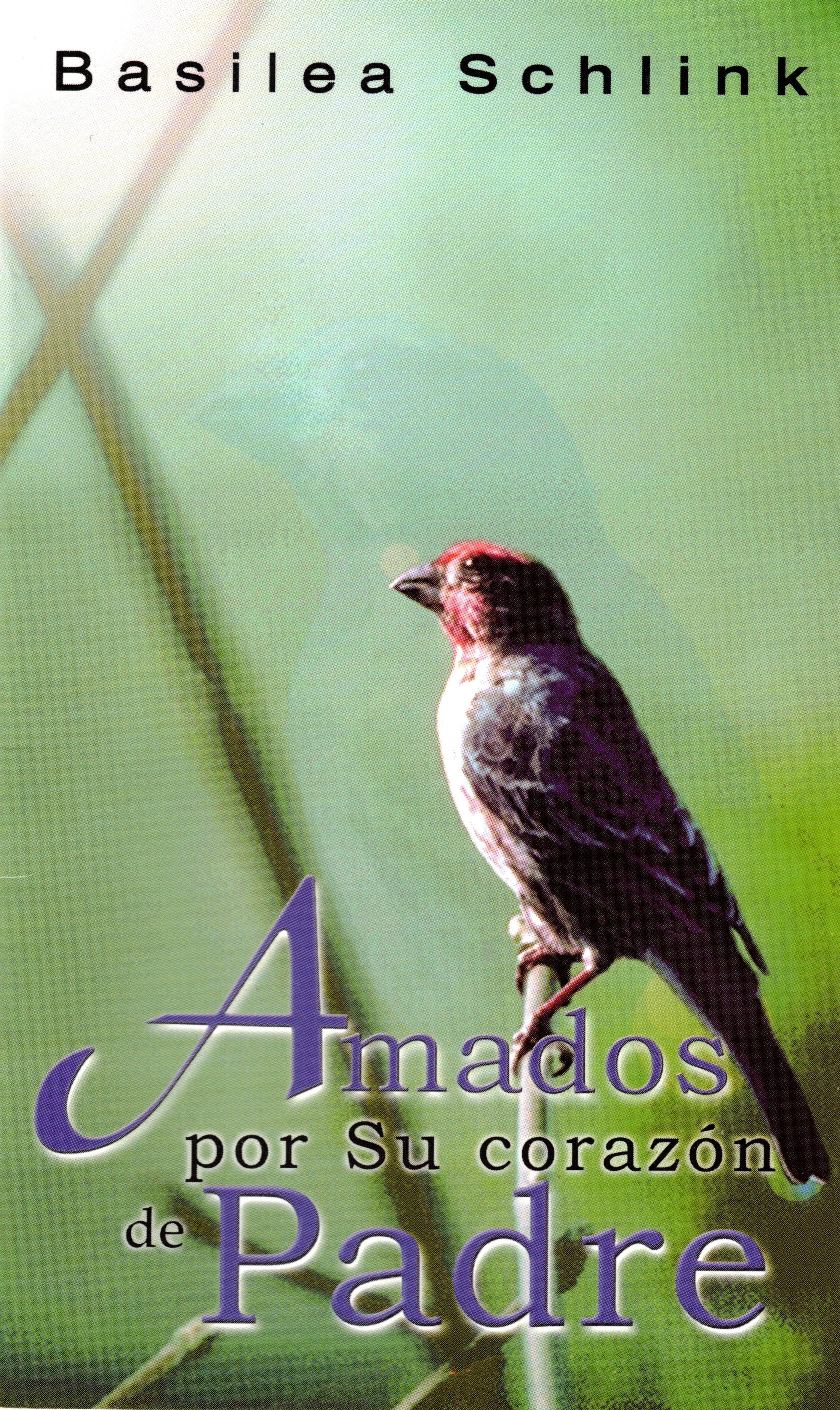 Amados por Su corazÃ³n de Padre