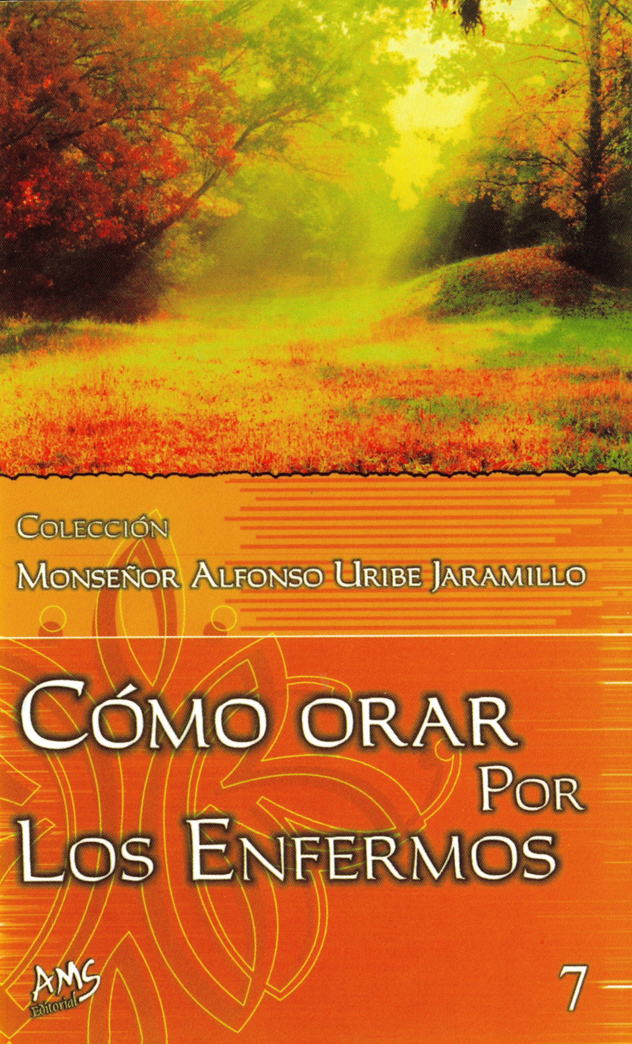 CÃ³mo Orar por los Enfermos