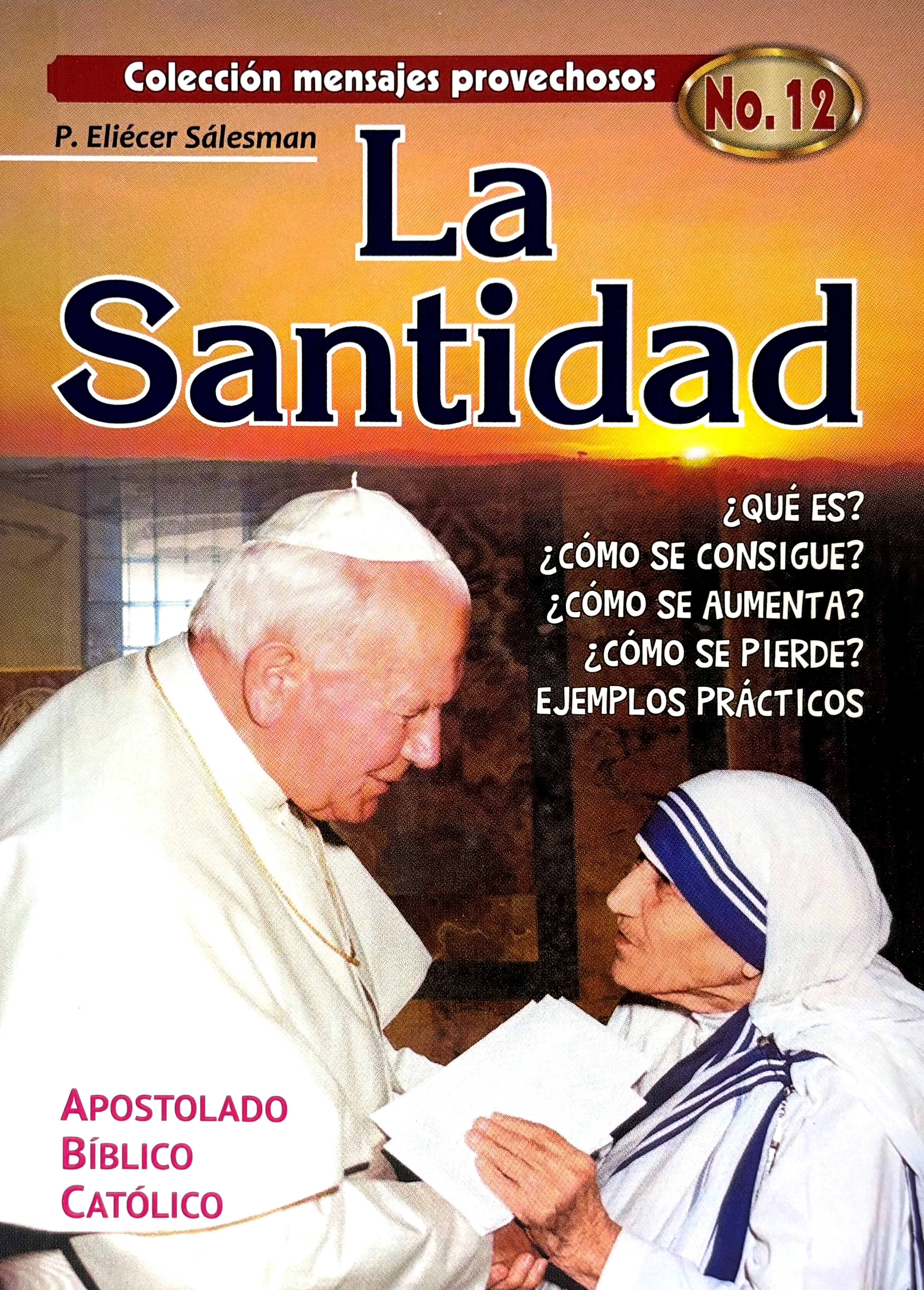 La santidad  Â¿QuÃ© es? Â¿CÃ³mo se consigue?