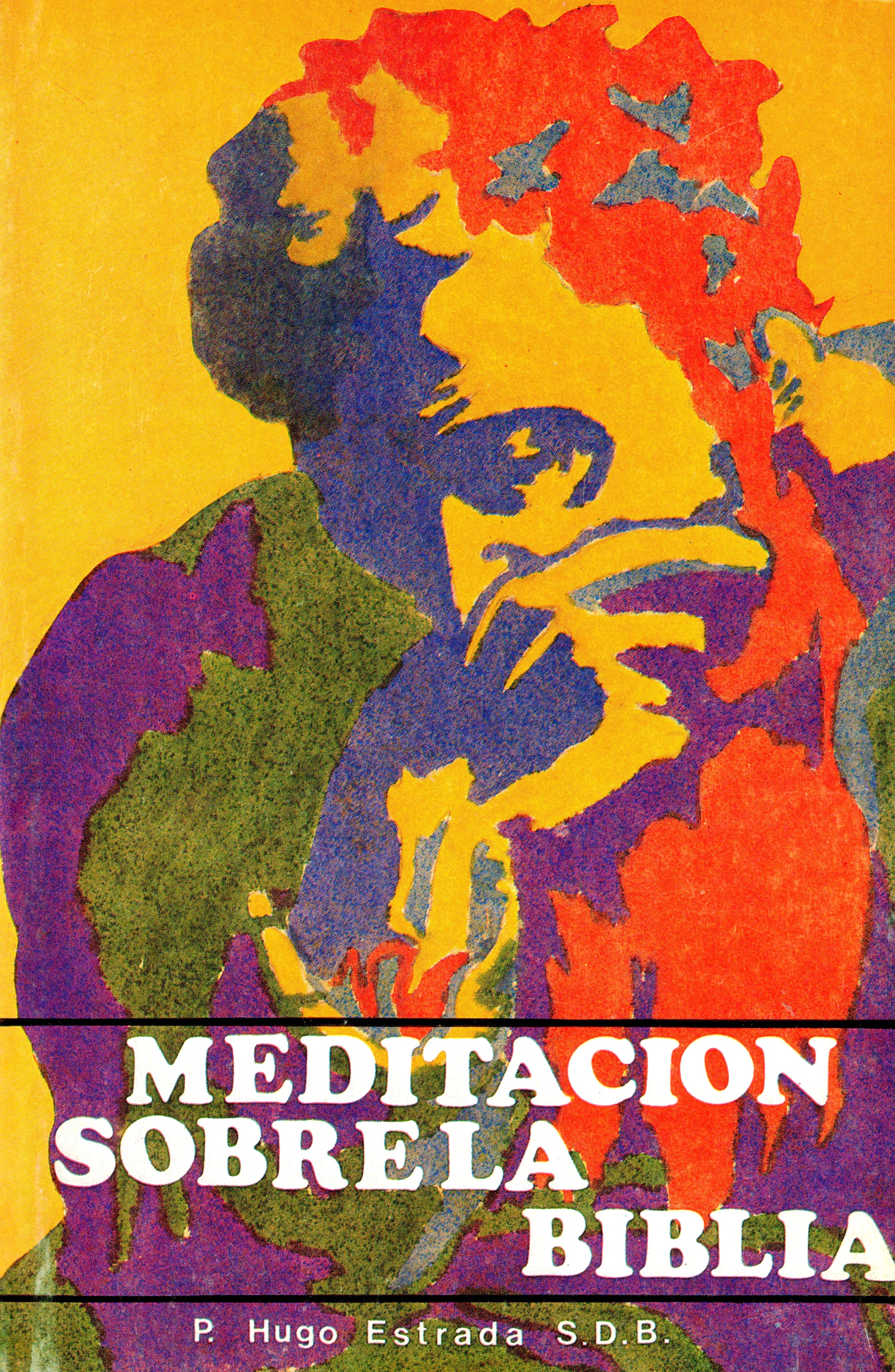 MeditaciÃ³n sobre la Biblia